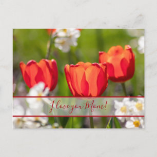 For the best mummy in the world! postcard