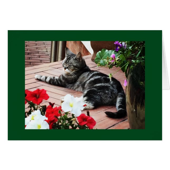 For the catlovers worldwide! (Front Horizontal)