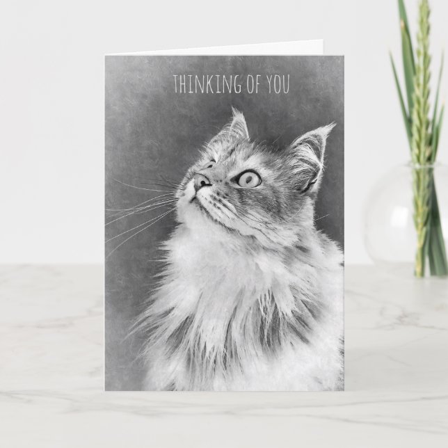 For the Loss of a Pet Cat (card) Card (Front)