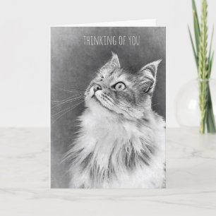 For the Loss of a Pet Cat (card) Card