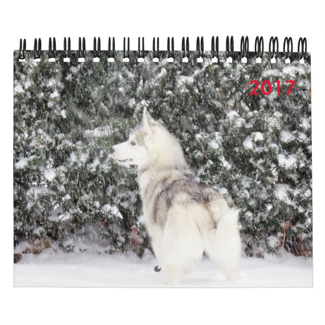 For the Love of dogs Calendar (Cover)