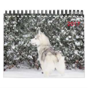 For the Love of dogs Calendar
