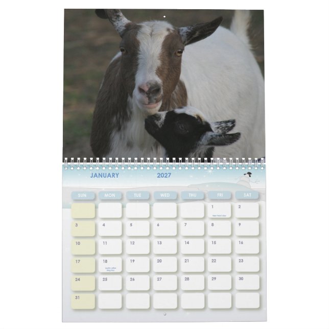 For the Love of Goats Goat Collectors Calendar (Jan 2027)