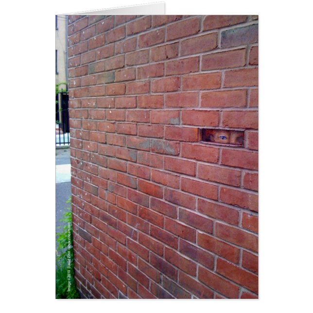 for the love of god, montresor! (Front)