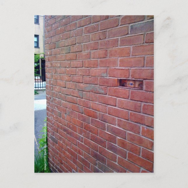 for the love of god, montresor! postcard (Front)