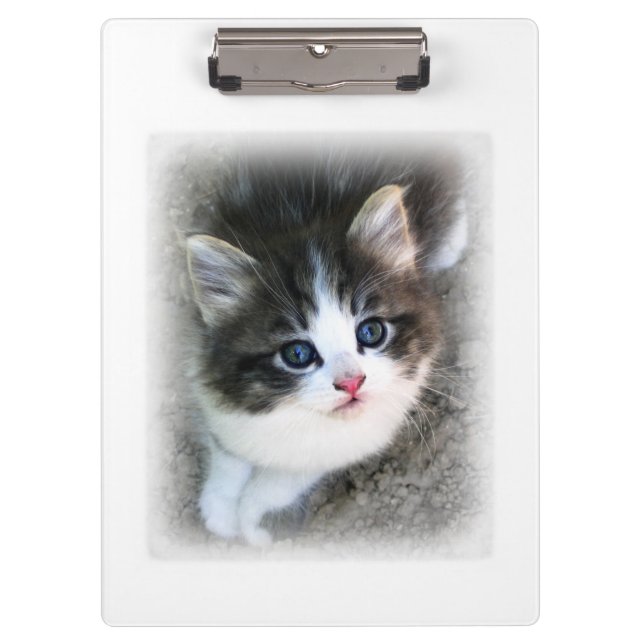 For The Love of Stray Cats Clipboard (Front)