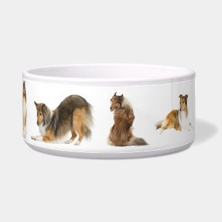 For the Sweet Sable Rough Collie, a Large Pet Bowl