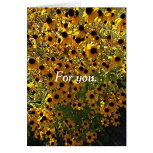 For you Black Eyed Susan Flowers Greeting Cards