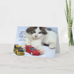 For Your Birthday (Cat) Cards