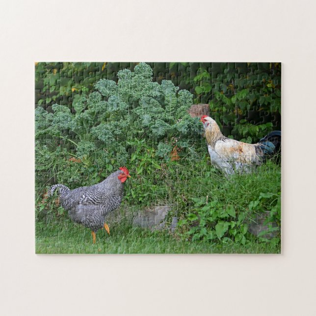 Foraging Chickens Puzzle (Horizontal)