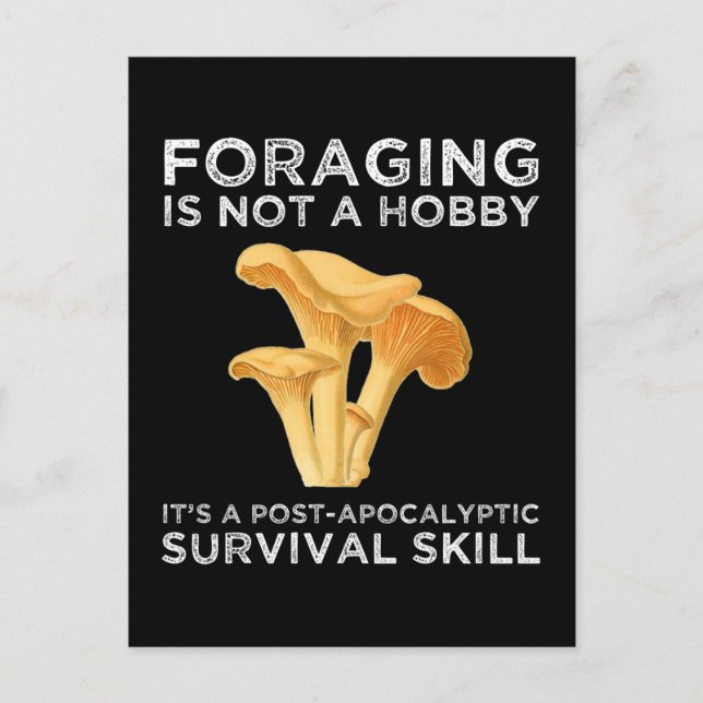 Foraging Is Not A Hobby Chanterelle Mushroom Postcard (Front)