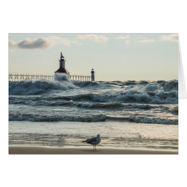 Force Behind Beauty (Front Horizontal)