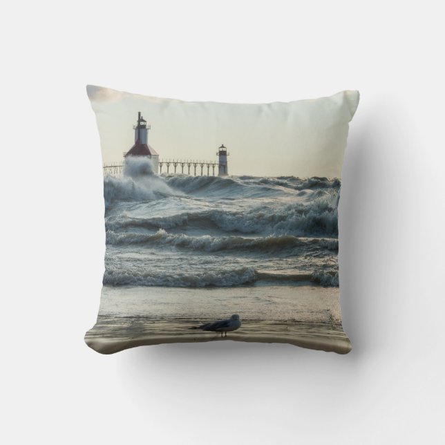 Force Behind Beauty Cushion (Front)