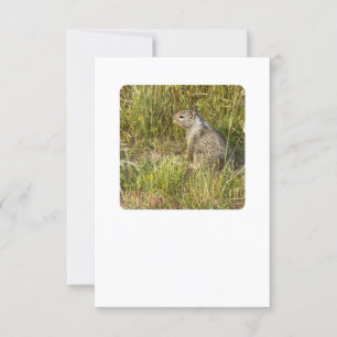 force replace with mask invitation