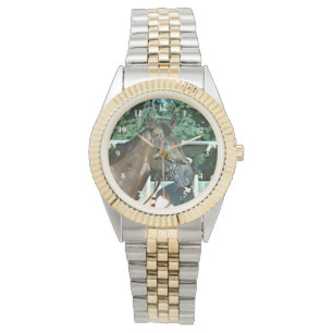 Forego Racehorse 1977 Watch