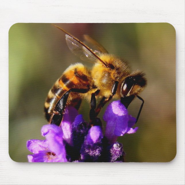 Foreground bee photo mouse mat (Front)