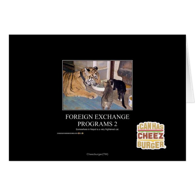 Foreign Exchange Programs 2 (Front Horizontal)