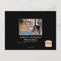 Foreign Exchange Programs 2
