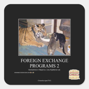 Foreign Exchange Programs 2 Square Sticker