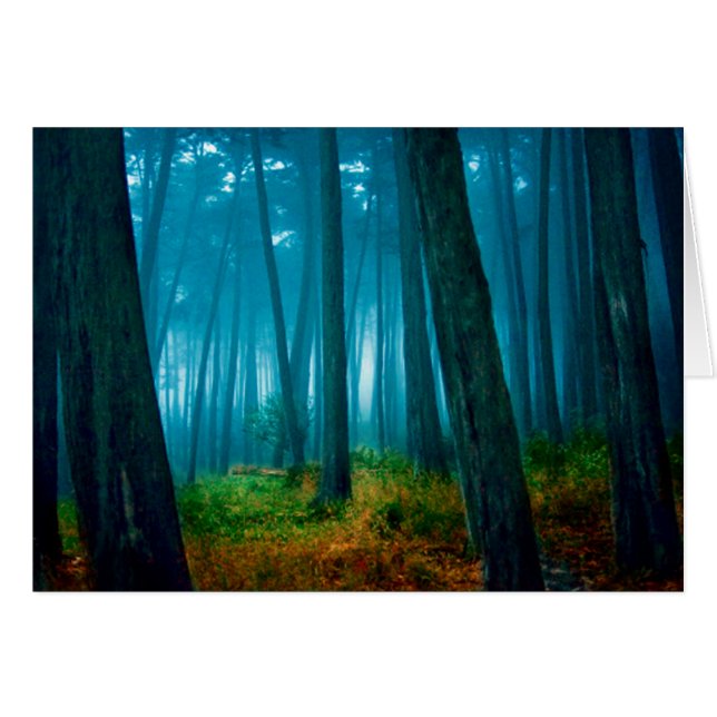 Forest (Front Horizontal)