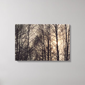 Forest 27 Stretched Canvas Print