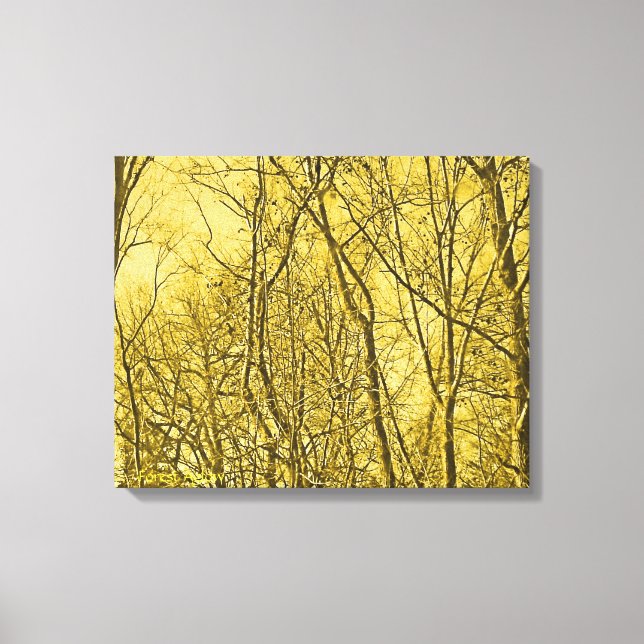 Forest Aglow Canvas Print (Front)