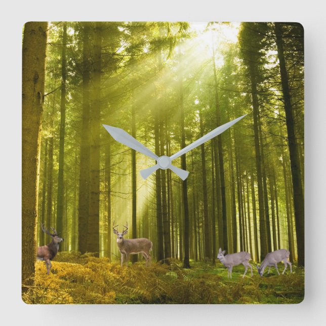 Forest and Deer image for  Square-Wall-Clock Square Wall Clock (Front)