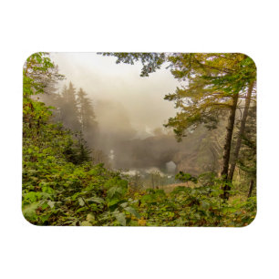Forest and Ocean Landscape Magnet