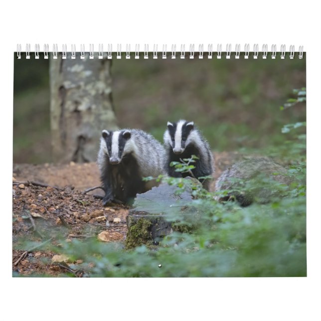 Forest Animals Calendar (Cover)