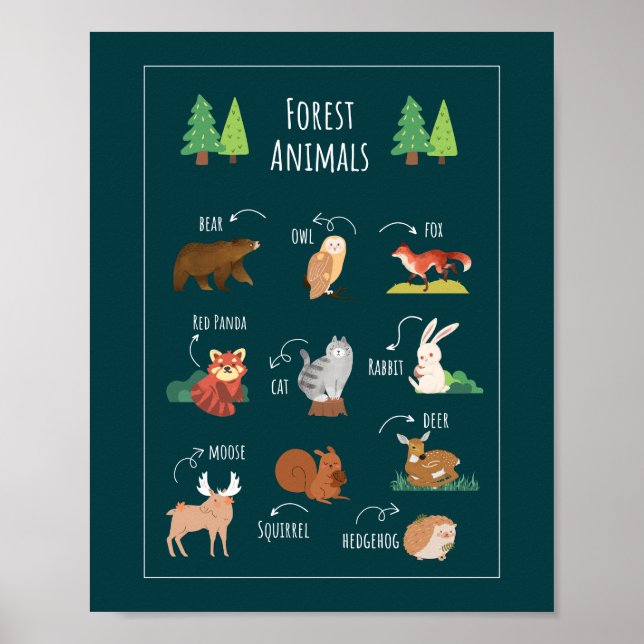 Forest Animals School Education Learning Poster (Front)