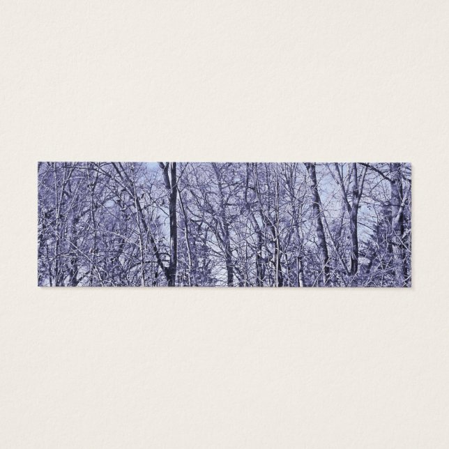 Forest At Twilight (Back)
