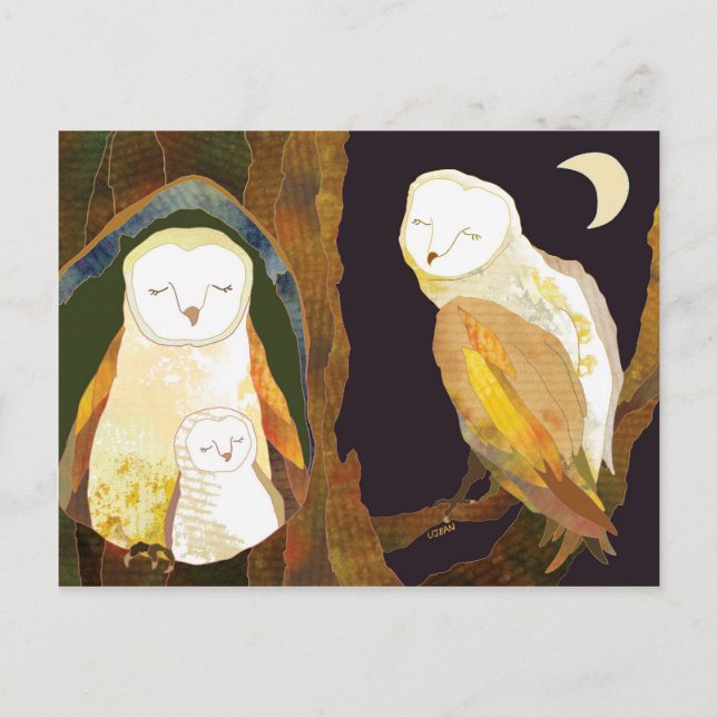 Forest Barn Owl Family Postcard (Front)
