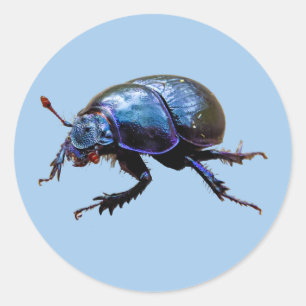 forest beetle Dor Beetle Blue Dung Bug T-shirt Classic Round Sticker