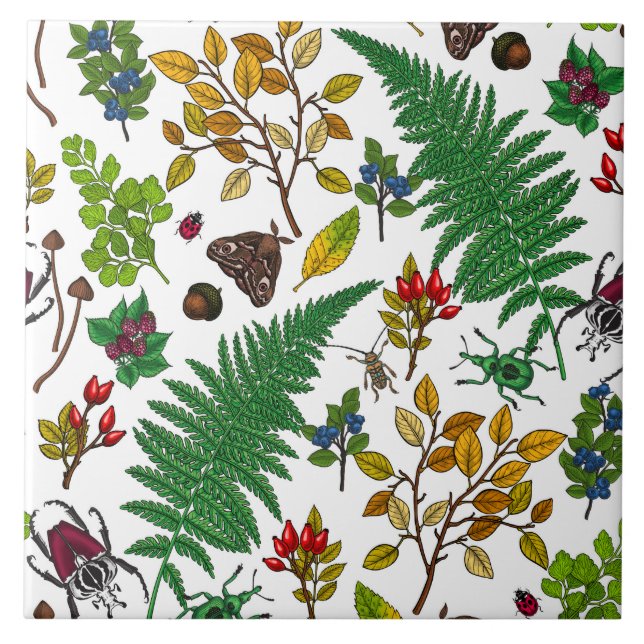 Forest berries, leaves and bugs on white tile (Front)