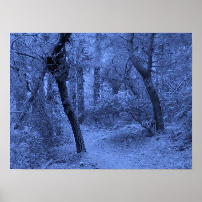 Forest Blues Poster (Front)