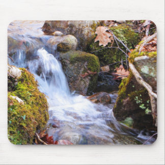 Forest Brook Mousepad