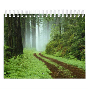 Forest Calendar
