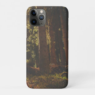 Forest iPhone 11 Pro Case