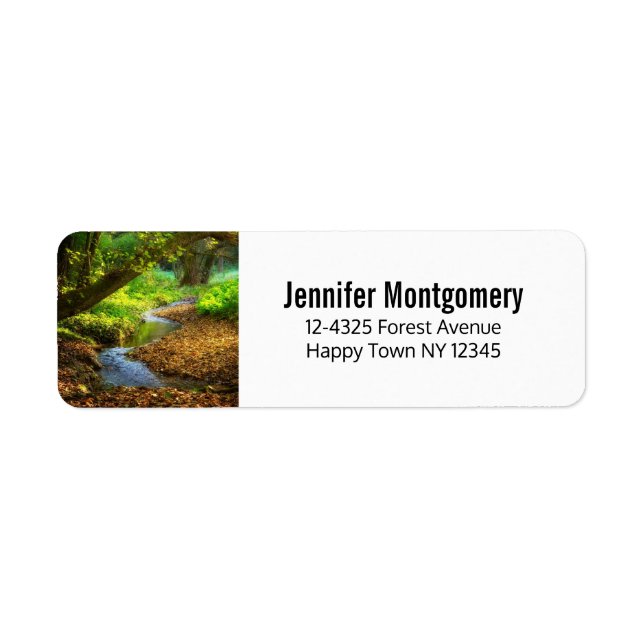 Forest Creek Beautiful Nature Landscape Photo (Front)