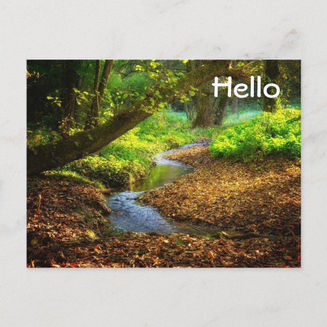 Forest Creek Beautiful Nature Landscape Photo Postcard (Front)