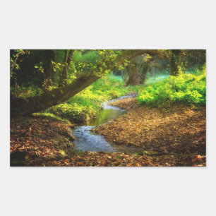 Forest Creek Beautiful Nature Landscape Photo Rectangular Sticker