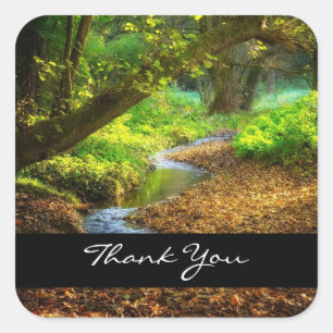 Forest Creek Beautiful Nature Landscape Photo Square Sticker
