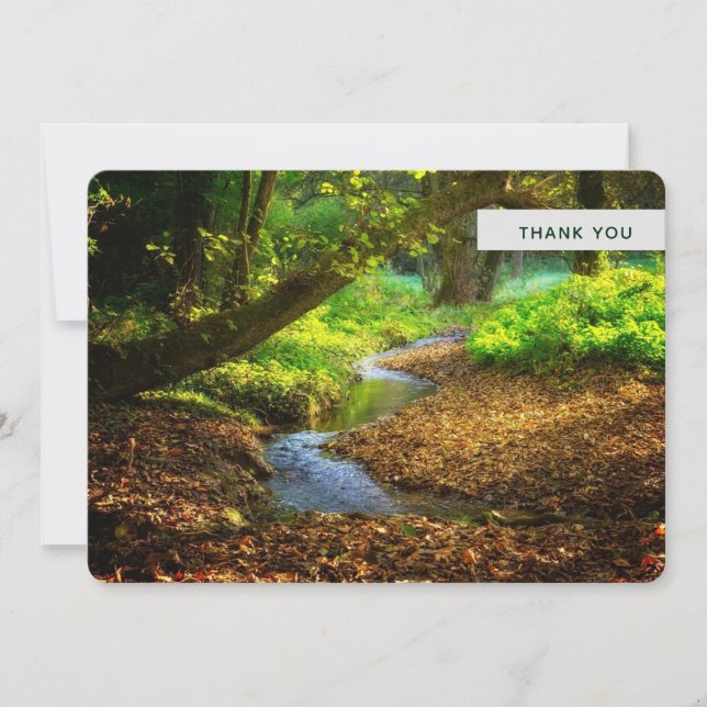 Forest Creek Beautiful Nature Landscape Photo Thank You Card (Front)