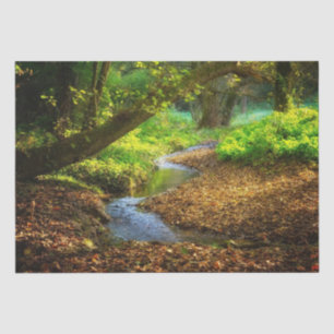 Forest Creek Beautiful Nature Landscape Photo Tissue Paper
