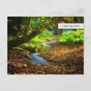 Forest Creek Beautiful Nature Photo Save the Date Invitation Postcard