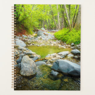 Forest Creek Nature Landscape Photo Print Art Planner