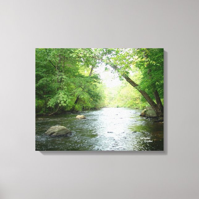 Forest creek Stretched Canvas Print (Front)