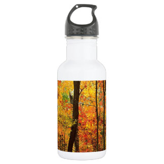 Forest Crimson Appalachian Mountains 532 Ml Water Bottle