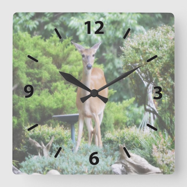 Forest Deer Square Wall Clock (Front)