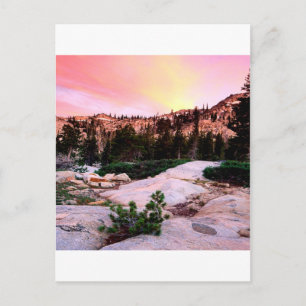 Forest Desolation Wilderness Eldorado Postcard